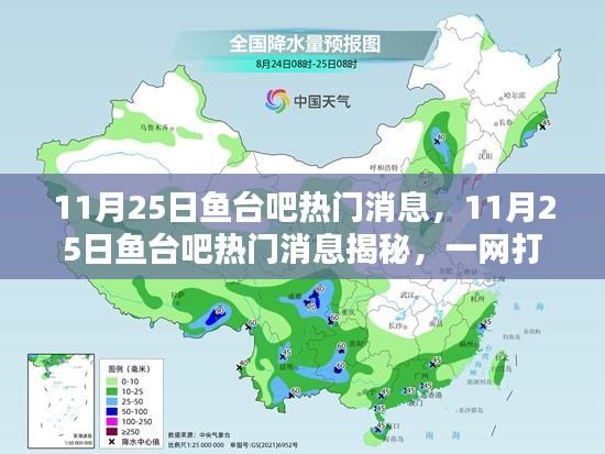 揭秘鱼台吧热议话题，一网打尽11月25日热门消息