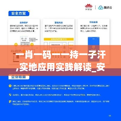 一肖一码一一持一子汗,实地应用实践解读_安全版RPP7.22
