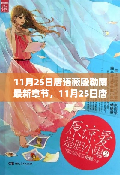 11月25日唐语薇殷勒南最新章节及其深度解析