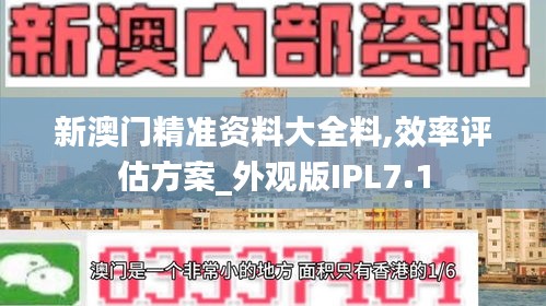 新澳门精准资料大全料,效率评估方案_外观版IPL7.1