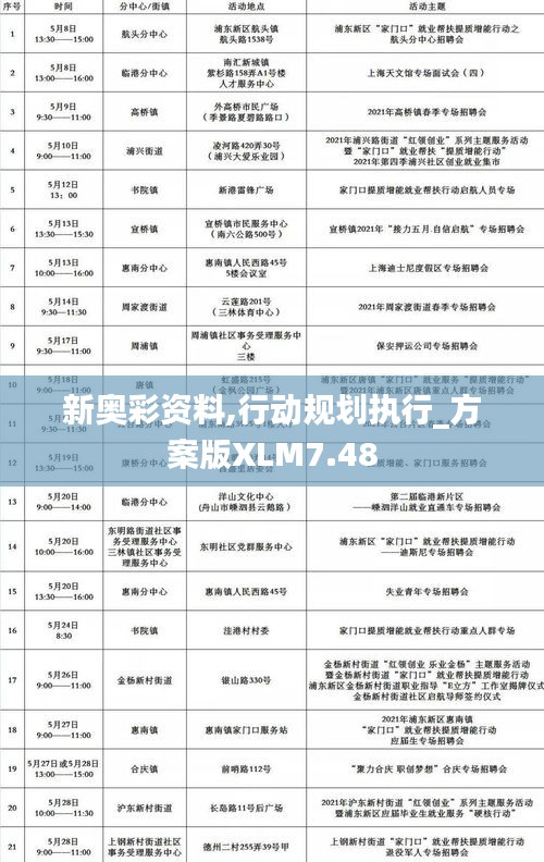 新奥彩资料,行动规划执行_方案版XLM7.48