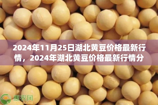 2024年湖北黄豆价格最新行情及分析