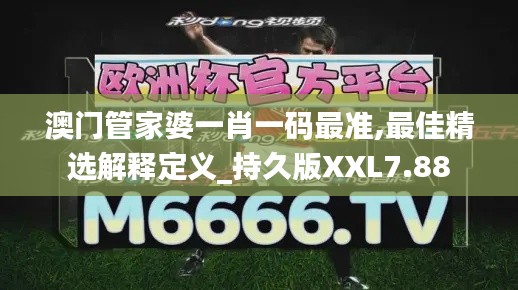 澳门管家婆一肖一码最准,最佳精选解释定义_持久版XXL7.88