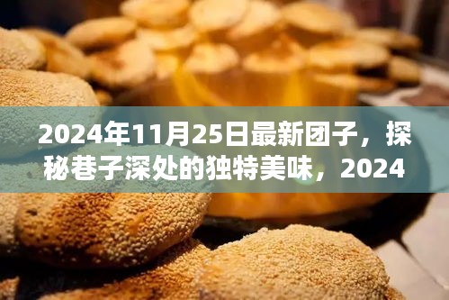 探秘巷子深处的独特美味，最新团子尝鲜之旅（2024年11月25日）