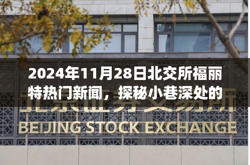 探秘北交所福丽特特色小店，小巷深处的隐藏瑰宝，揭秘热门新闻背后的故事（2024年11月28日）