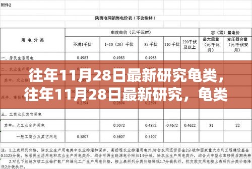 往年11月28日最新研究揭秘，龟类的奥秘世界探索之旅