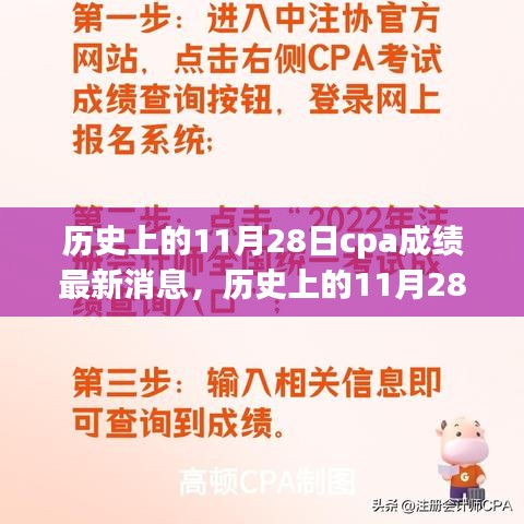历史上的11月28日CPA成绩最新消息及其影响，观点解析与探讨