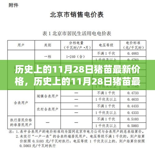 历史上的11月28日猪苗最新价格解析与立场阐述