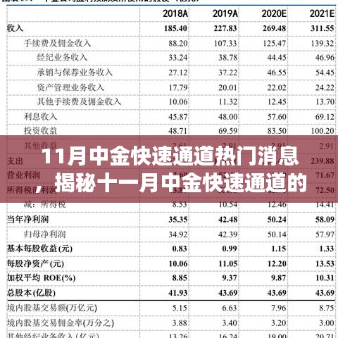 揭秘十一月中金快速通道最新热门消息与行业前沿动态