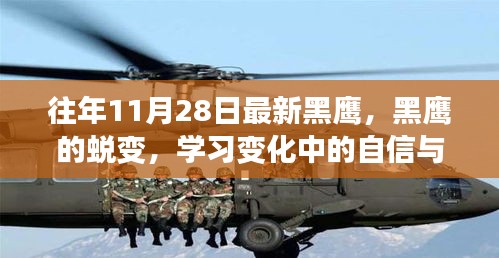 黑鹰的蜕变之旅，自信与成就感的十一月学习之旅