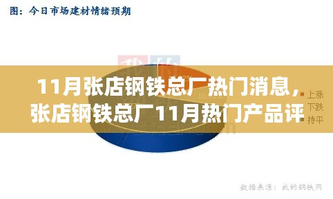 张店钢铁总厂11月热门产品评测，特性、使用体验与目标用户群体深度解析