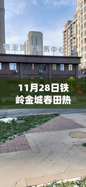 铁岭金城春田热门新闻揭秘，热议不断的爆款新闻！