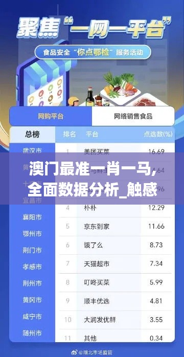 澳门最准一肖一马,全面数据分析_触感版JSN4.14