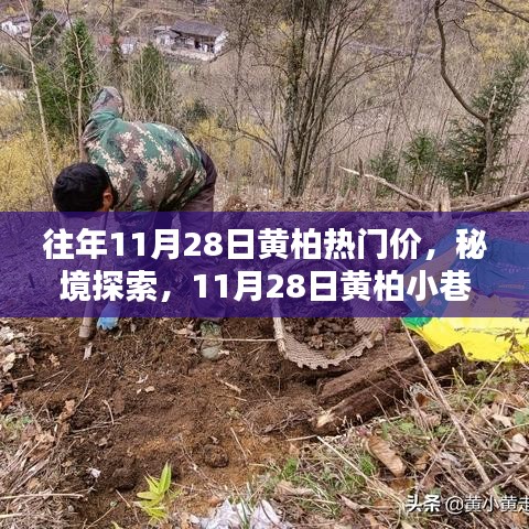 秘境探索，黄柏小巷宝藏时尚小店揭秘，往年热门价格回顾
