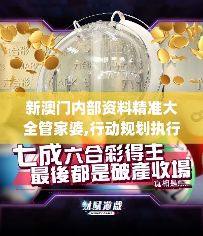 新澳门内部资料精准大全管家婆,行动规划执行_灵活版IVJ8.27