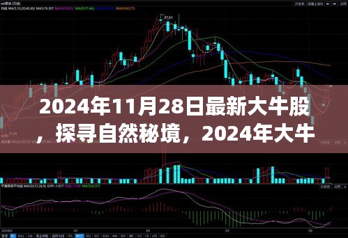 探寻自然秘境，揭秘大牛股的心灵之旅启程，2024年最新预测报告出炉