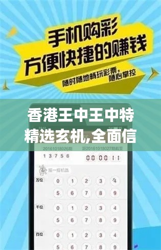 香港王中王中特精选玄机,全面信息解释定义_冷静版OBH8.3