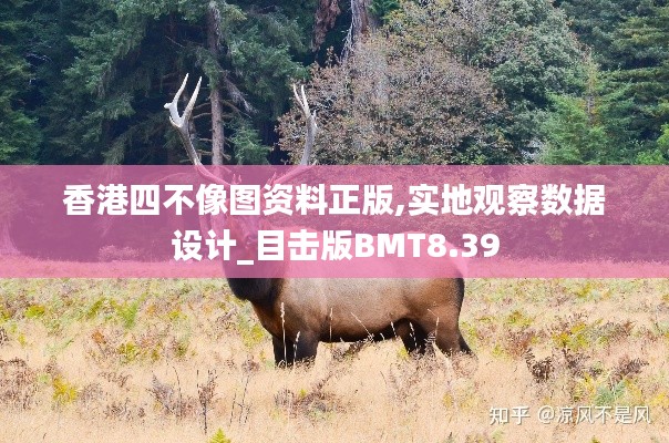 香港四不像图资料正版,实地观察数据设计_目击版BMT8.39