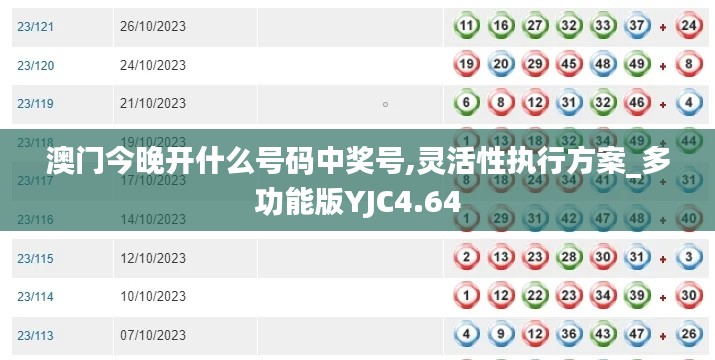澳门今晚开什么号码中奖号,灵活性执行方案_多功能版YJC4.64