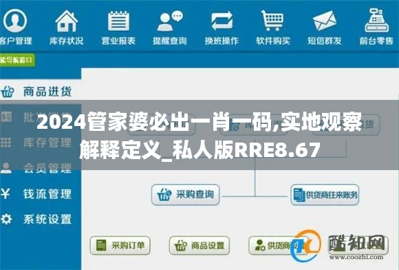 2024管家婆必出一肖一码,实地观察解释定义_私人版RRE8.67
