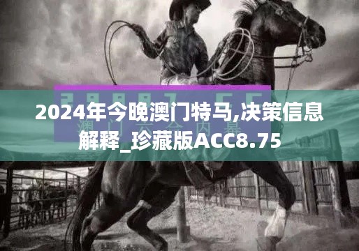 2024年今晚澳门特马,决策信息解释_珍藏版ACC8.75