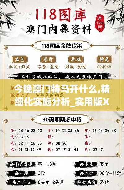 今晚澳门特马开什么,精细化实施分析_实用版XEU4.88