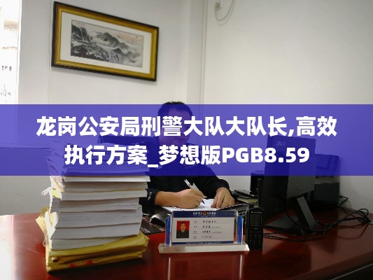 龙岗公安局刑警大队大队长,高效执行方案_梦想版PGB8.59