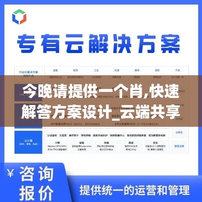 今晚请提供一个肖,快速解答方案设计_云端共享版JSA8.49