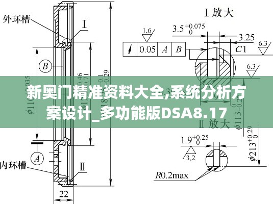 新奥门精准资料大全,系统分析方案设计_多功能版DSA8.17
