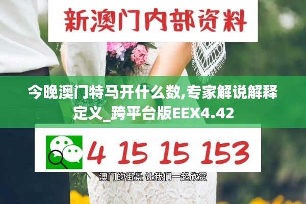 今晚澳门特马开什么数,专家解说解释定义_跨平台版EEX4.42