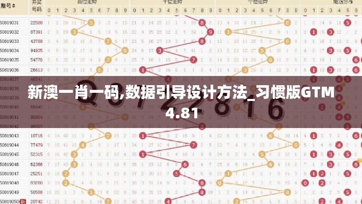 新澳一肖一码,数据引导设计方法_习惯版GTM4.81