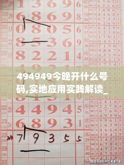 494949今晚开什么号码,实地应用实践解读_交互版JQN8.73
