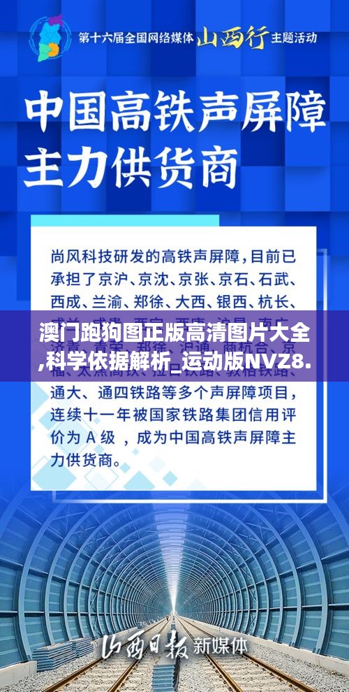 澳门跑狗图正版高清图片大全,科学依据解析_运动版NVZ8.64