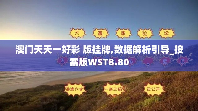澳门天天一好彩 版挂牌,数据解析引导_按需版WST8.80