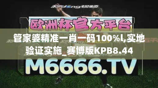 管家婆精准一肖一码100%l,实地验证实施_赛博版KPB8.44