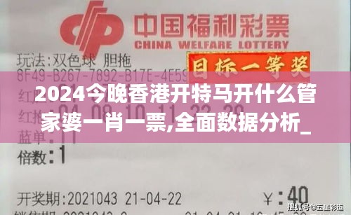 2024今晚香港开特马开什么管家婆一肖一票,全面数据分析_传承版RTV8.9