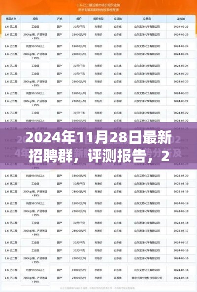 2024年最新招聘群评测报告，介绍与体验分析