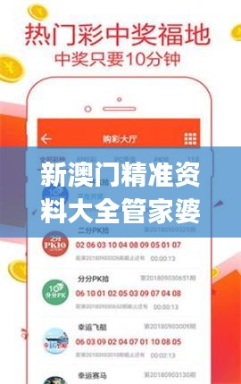 新澳门精准资料大全管家婆料新澳门资料新,创新计划制定_多功能版CYV8.11