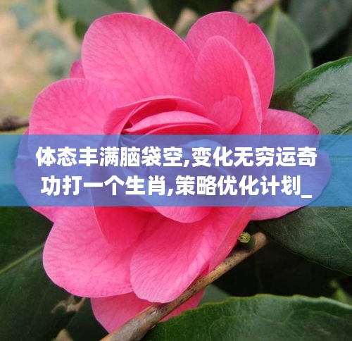 体态丰满脑袋空,变化无穷运奇功打一个生肖,策略优化计划_动态版DTB4.93