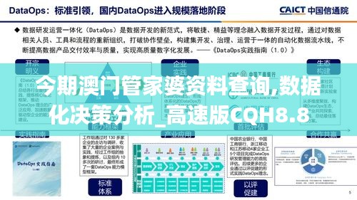 今期澳门管家婆资料查询,数据化决策分析_高速版CQH8.8