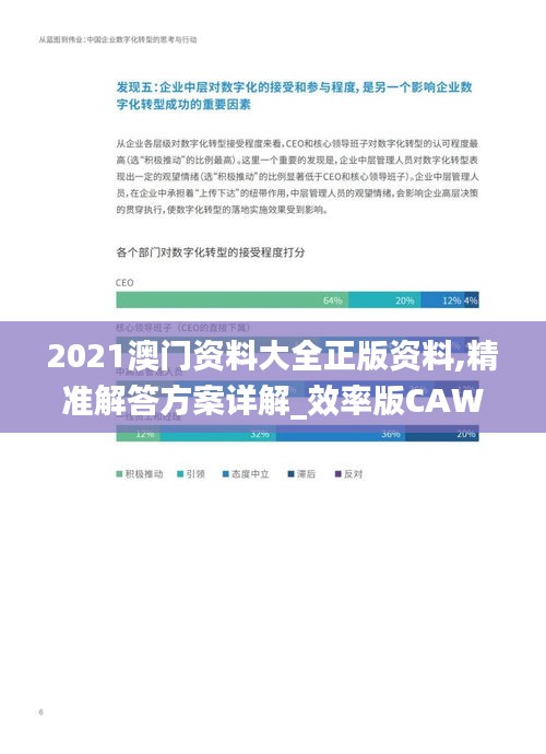 2021澳门资料大全正版资料,精准解答方案详解_效率版CAW8.60