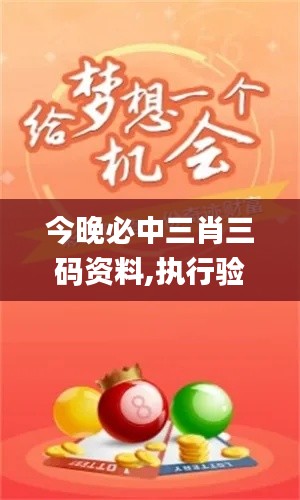 今晚必中三肖三码资料,执行验证计划_旅行版QER8.91