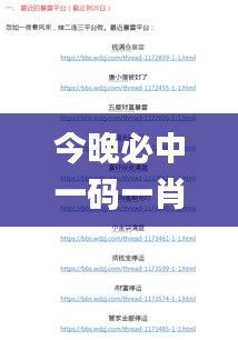 今晚必中一码一肖100准,持续性实施方案_月光版JTU8.95