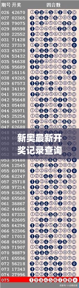 新奥最新开奖记录查询,实地观察解释定义_加速版DCV8.1