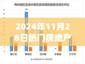 指手画脚 第5页