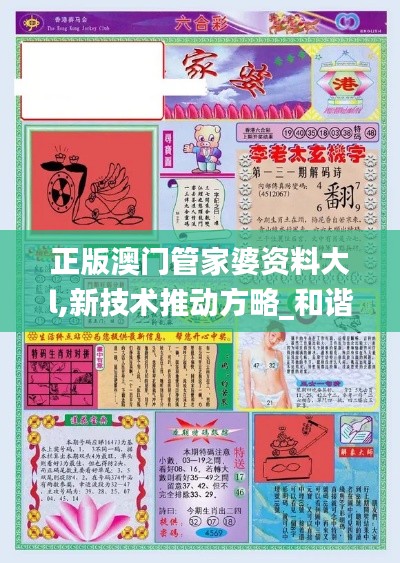 正版澳门管家婆资料大l,新技术推动方略_和谐版FCH8.48