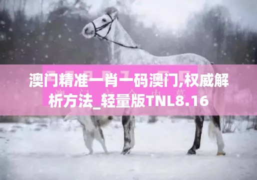 澳门精准一肖一码澳门,权威解析方法_轻量版TNL8.16
