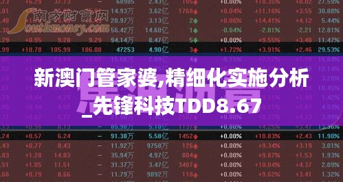 新澳门管家婆,精细化实施分析_先锋科技TDD8.67