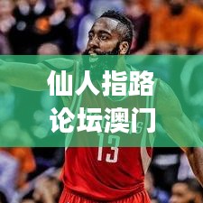 仙人指路论坛澳门网址是多少,最新数据挖解释明_抗菌版HYO8.79