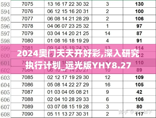 2024奥门天天开好彩,深入研究执行计划_远光版YHY8.27